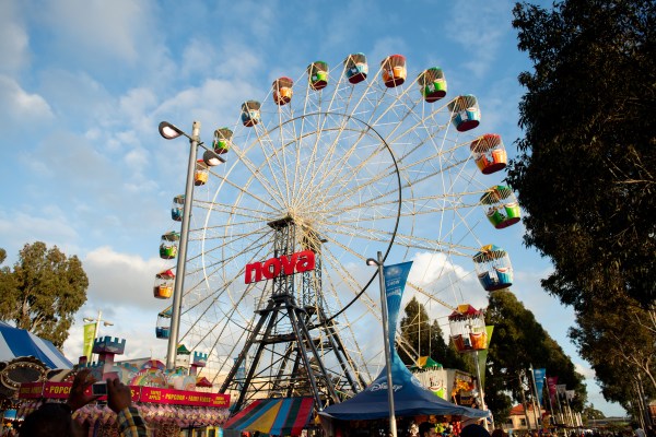 Royal Adelaide Show, High And Così Fan Tutte - Salife