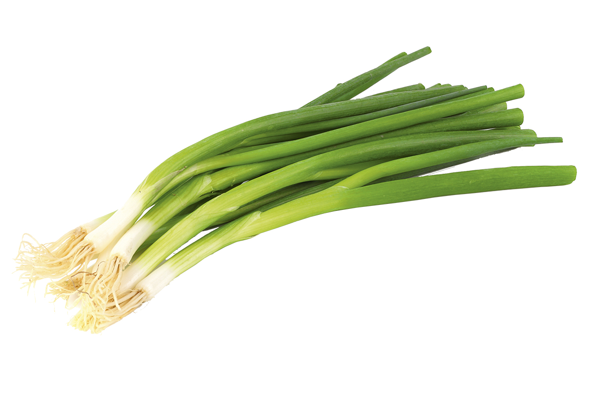 bunch of green onion isolated on white background - SALIFE