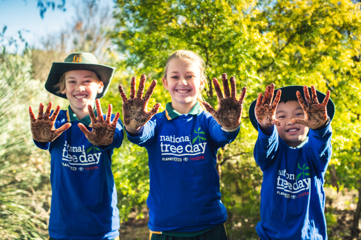 What's on: National Tree Day, A Little More Barossa and Illuminate ...